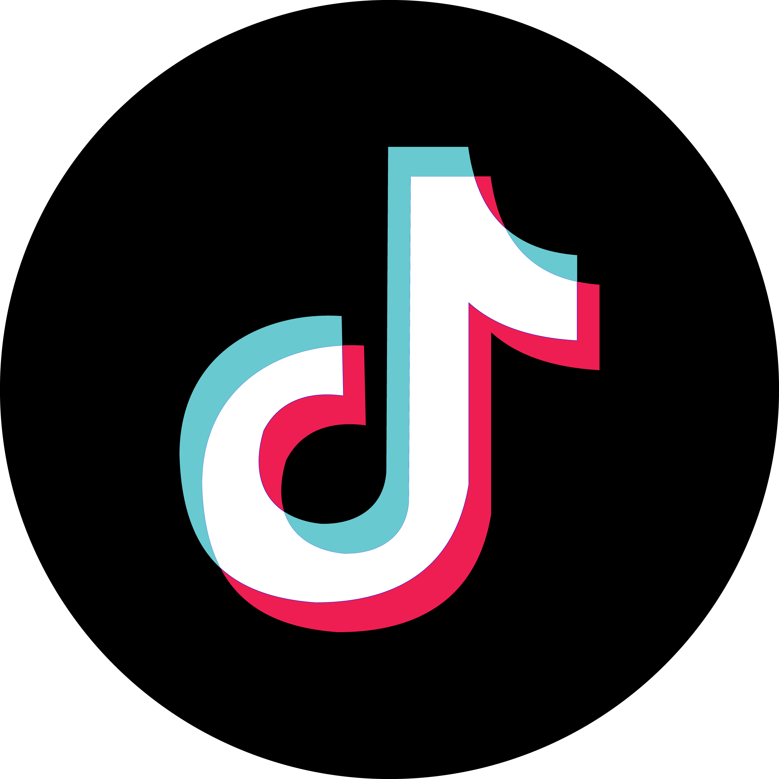 TikTok Contact